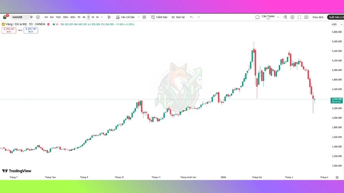 Biểu đồ giá XAUUSD