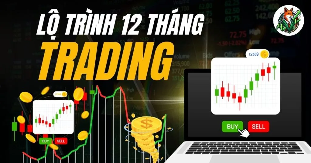 Lộ Trình học Trading 12 Tháng: Từ Mất Phương Hướng → Có Hệ Thống
