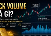 Tick Volume là gì? Cách hiểu đúng về khối lượng giao dịch trong Forex và XAU/USD
