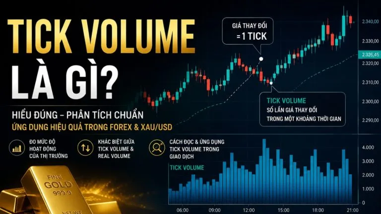 Tick Volume là gì? Cách hiểu đúng về khối lượng giao dịch trong Forex và XAU/USD