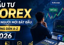 Đầu tư Forex cho người mới bắt đầu: Hướng dẫn A-Z 2026